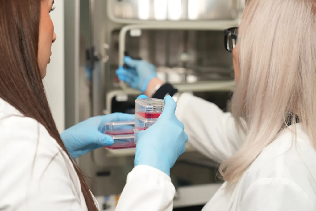 Two Blast Institute researchers in gloves handling cell culture flasks at a laboratory incubator